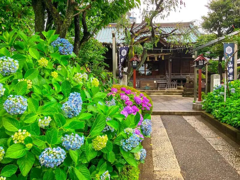 ⛩️ 하쿠산 신사 이미지 4